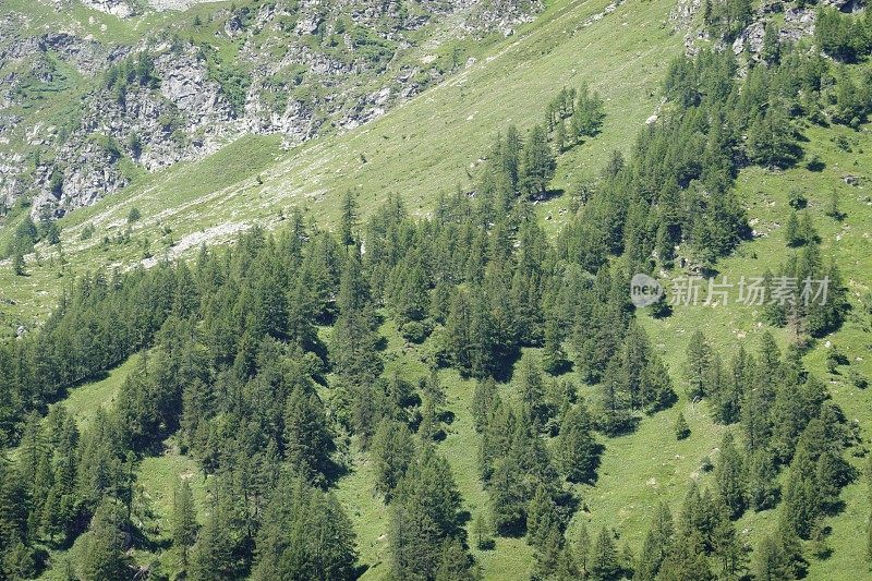 Alpe Devero - Piedmont - Italy报道